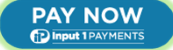 Pay Now Input 1 Payments